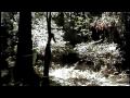 'Avatars of Gaia' , Bigfoot or Munchimonster? You vote!