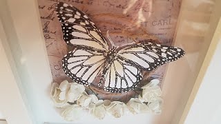 DIY Quick Wall Art Ideas with Printable Butterflies
