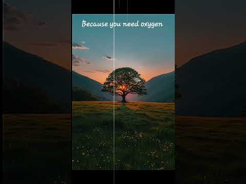 Oxygen-Need of the