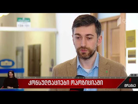 კონსულტაციები ოპოზიციაში