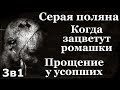 Истории на ночь (3в1): 1.Серая поляна, 2.Когда зацветут ромашки, 3.Прощение у усопших