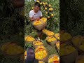 beautiful Force #new #ashraful #unfrezzmyaccount #viralvideo #foryou #
