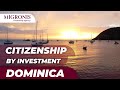 Dominica citizenship by investment: cost, term, procedure