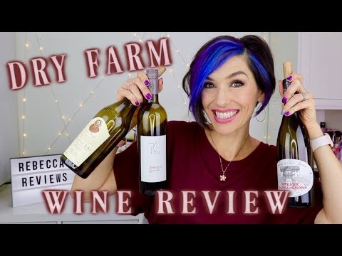 DRY FARM WINES | Review and Taste Test | Keto, Paleo, Low Carb, Organic Wine
