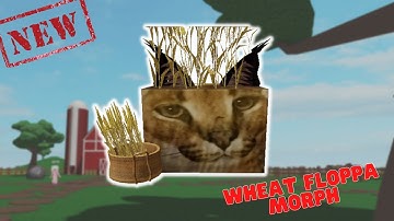 How To Find "WHEAT FLOPPA MORPH" In Find The Floppa Morphs [NEW UPDATE]