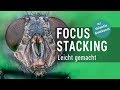 Focus Stacking leicht gemacht - der optimale Workflow