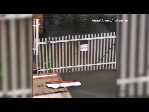 Puerto Rico's Arecibo Radio Telescope Suffers Hurricane Damage