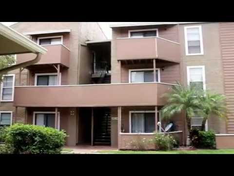 woodridge at carrollwood apartments tampa fl youtube