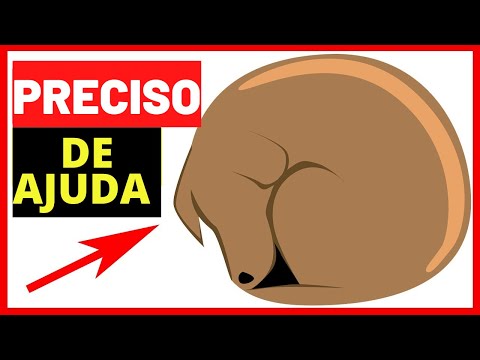 Vídeo: 10 sinais que você está alimentando o seu cão a comida errada