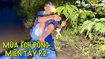 Cắm Câu Ếch Mùa Nước Nổi Miền Tây Cảnh Tuyệt Đẹp/NGÃ NĂM TV