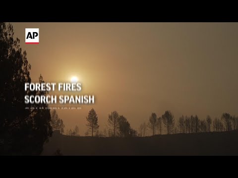 Forest fires scorch Spanish countryside