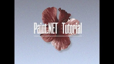 Master Paint.NET in 6 Minutes | Free Photoshop Alternative