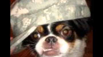 Awesome 34 second video