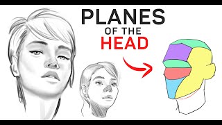 Study This To Improve Your Head Drawings!