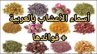 اسماء الأعشاب و فوائدها على الصحة