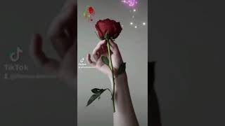 Güllər Solar Whatsapp Status