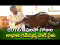 60 గిర్ ఆవులతో  గోశాల - లాభాలు గడిస్తున్న పాడి రైతు | Gir Cow Dairy Farm in Telugu | hmtv Agri