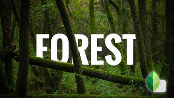 How to place text behind an Object || Snapseed Tutorial 😊