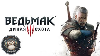 Ведьмак 3: Дикая Охота. #24. Продолжаем 