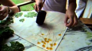 DSCF3160.AVI