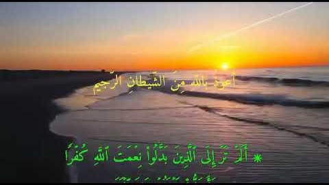 آيات من سورة إبراهيم | بصوت أبي العباس الجبوري وفقه الله