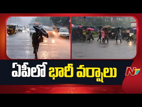 Heavy Rains To Hit Nellore, Prakasam And Tirupati Districts Tomorrow | NTV Telugu - NTVTELUGU