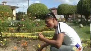 Mil Cervezas new versión, los Yenis de Pucallpa (CARLOS PIANCHACHI)