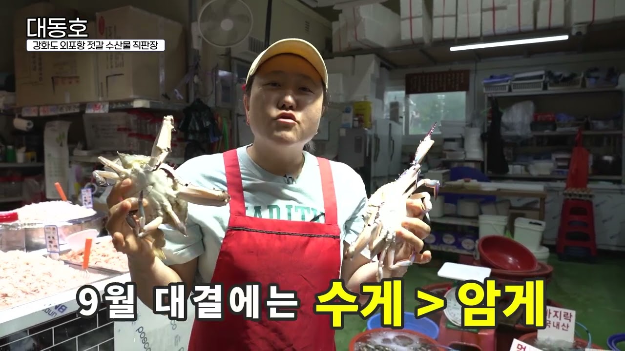 외포항 젓갈 수산물 직판장 "대동호"를 소개합니다!