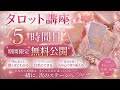 【タロット講座】今だけ無料公開🎉5時間目〜小アルカナ🔥ワンド〜4月12日まで講座受付しております