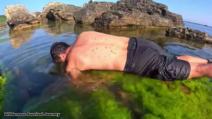 3 DAYS solo survival (NO FOOD, NO WATER, NO SHELTER) Catch and Cook, CRAB, SNAKE. Bushcraft Camping