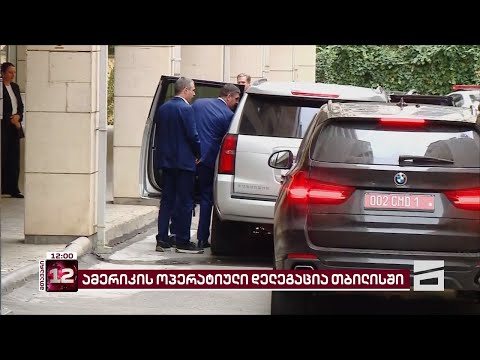 სენატორი ჯინ შაჰინი და კონგრესმენი მაიკ ტერნერი კობახიძეს ხვდებიან