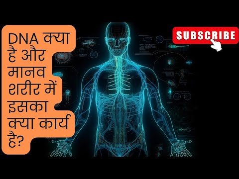 What is DNA and what is its function in human body ? - YouTube