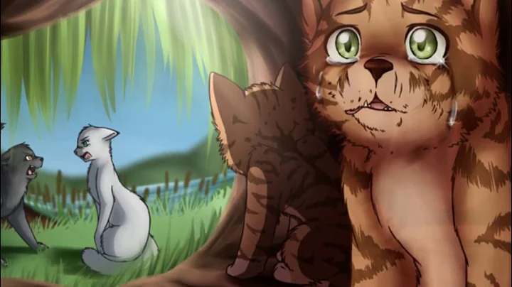 /étoile Balafrée/ Un chat qui a surmonté les épreuves /