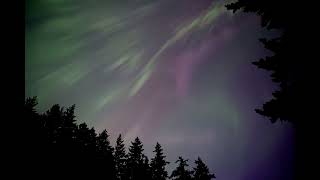 Aurora Borealis (Northern Lights) Seattle, May 10th 2024