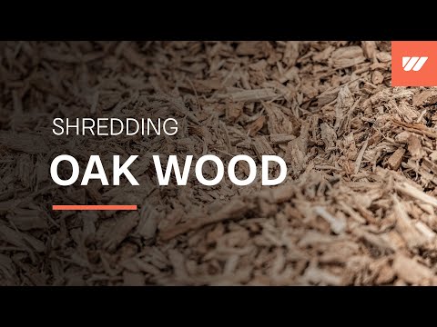 Oak wood shredding with a WEIMA WL 8