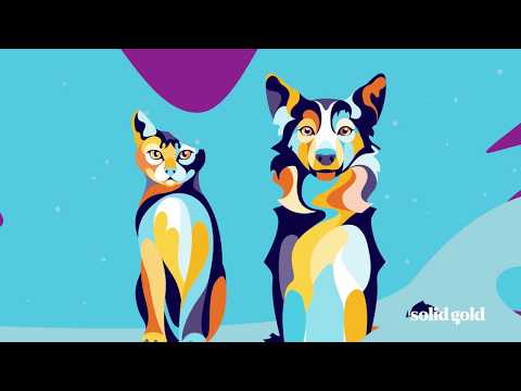 Video: Solid Gold Health Products For Pets Husker Utvalgte Batcher Av WolfCub Og WolfKing Hundemat