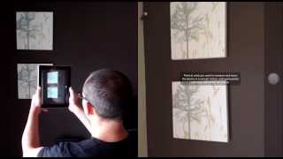 TrueMeasure Tutorial