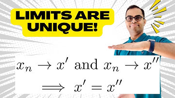 PROVE the Limit of a Sequence is UNIQUE! | Intro to Metric Spaces!