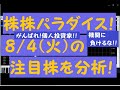 株株パラダイス！2020/8/4(火) の注目株を分析！以前、世界的 外資系 金融機関４社に勤務し、統括部長を経験した 株パラ がお送りします！！！