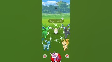 When I Got ✨Shiny Key of Eeveelution in #pokemongo