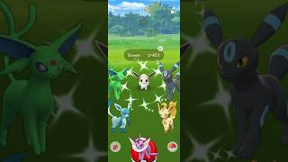 When I Got ✨Shiny Key of Eeveelution in #pokemongo When I Got ✨Shiny Key of Eeveelution in #pokemongo