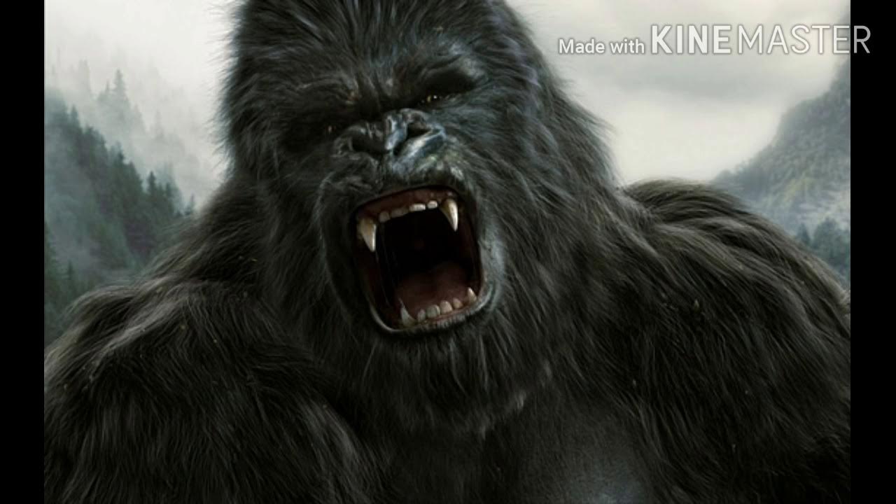 My version of king Kong sound effects YouTube