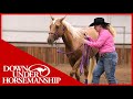 Method Ambassador Sarah Fields  - Downunder Horsemanship