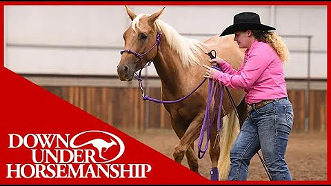 Clinton Anderson Method Ambassador Sarah Fields  -...