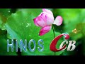 Hinos Ccb 2022🌺Congregação Cristã No Brasil 🌺 Bons Hinos CCB Celebram o Nascimento de Deus,