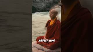 The Buddhist Monk Who Defied Neuroscience! #Meditation #Neuroscience  #BrainHacks #BuddhistMonk