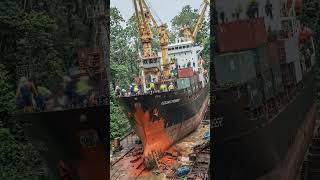 Restoring an Old Cargo Ship abandoned in a Forest
