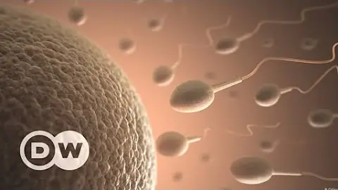 O que é fertilização natural?