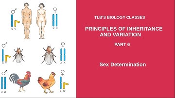 Principles of Inheritance and variation | Part 6| Sex Determination| Class 12 | Zoology| Biju T L