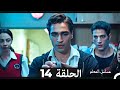 مسلسل مسلسل المعلم الحلقة 14 Arabic Dubbed 
